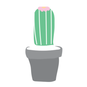 cactus socroch