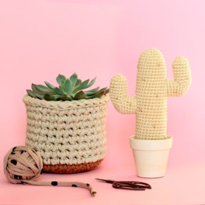 Cactus mexicain au crochet