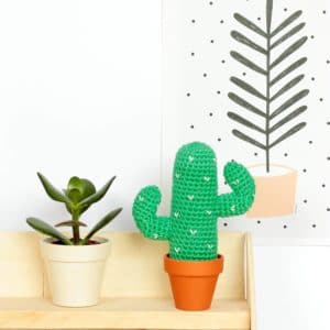 amigurumi cactus du désert
