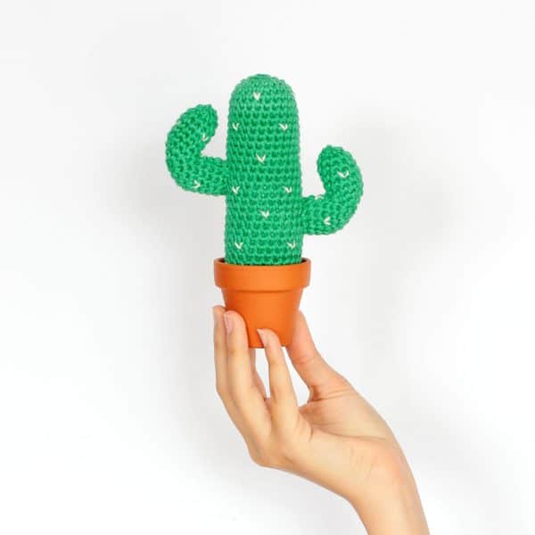 cactus mexicain au crochet