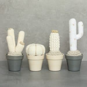 Cactus du désert au crochet