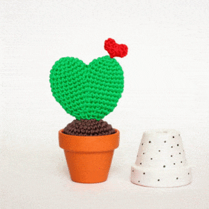 gif cactus coeur