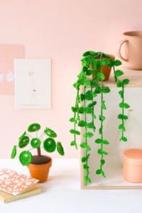plantes au crochet