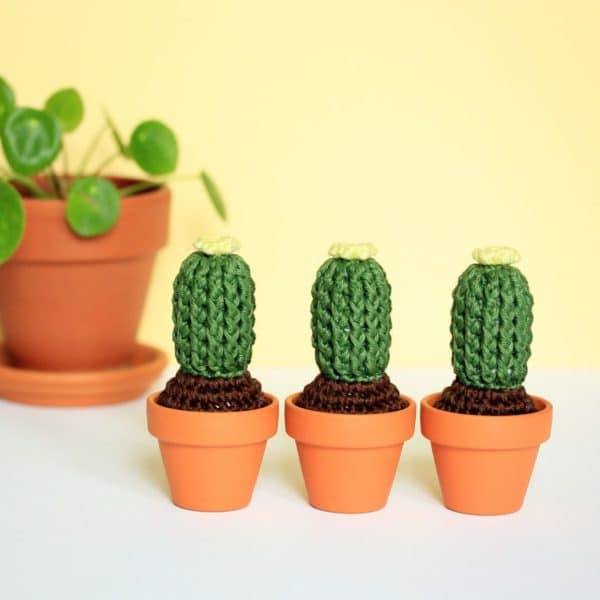 cactus au crochet