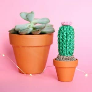 grand cactus fleuri au crochet