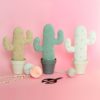 Cactus mexicain au crochet