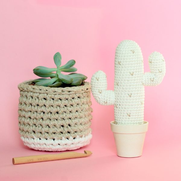 Cactus mexicain au crochet