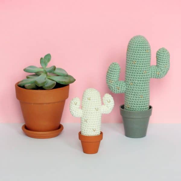 Cactus mexicains au crochet