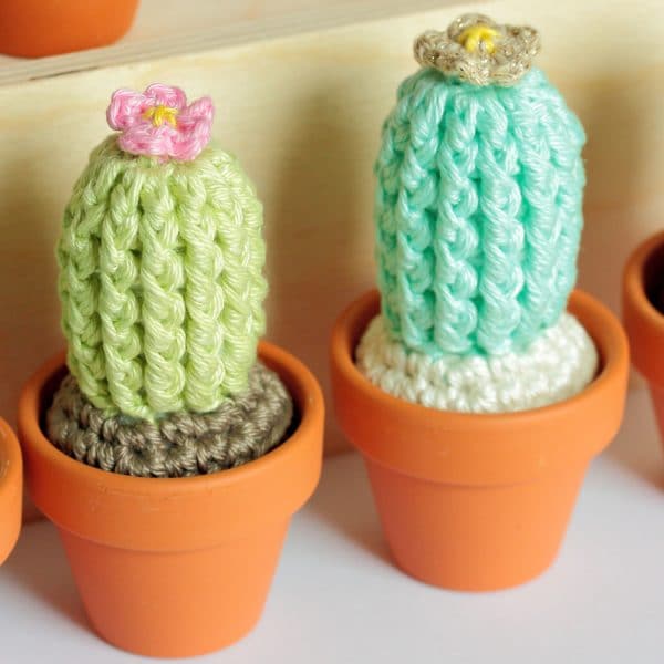 Petits cactus au crochet
