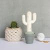 Cactus du désert