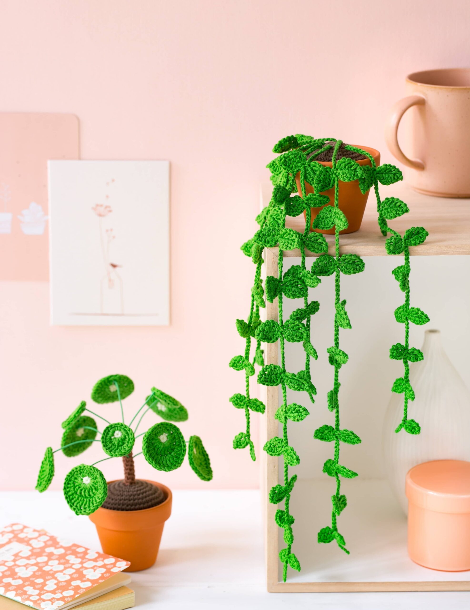Pilea au crochet