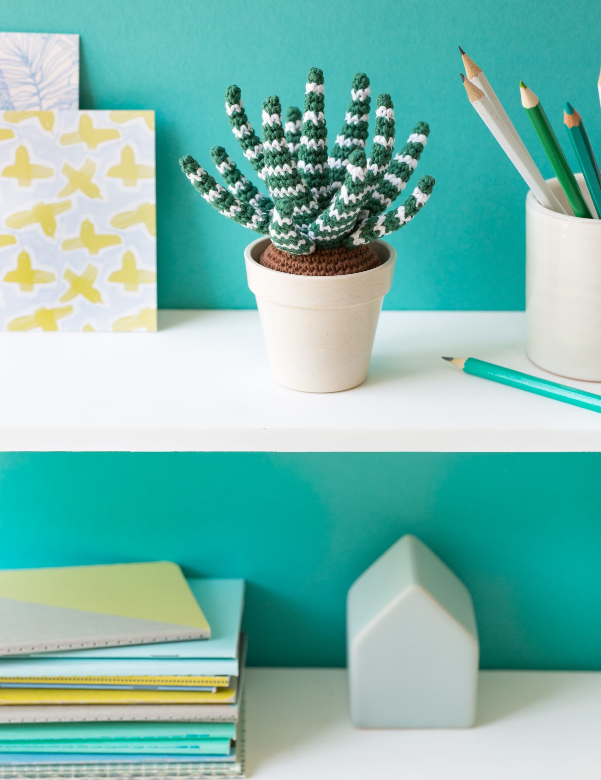 Succulente au crochet