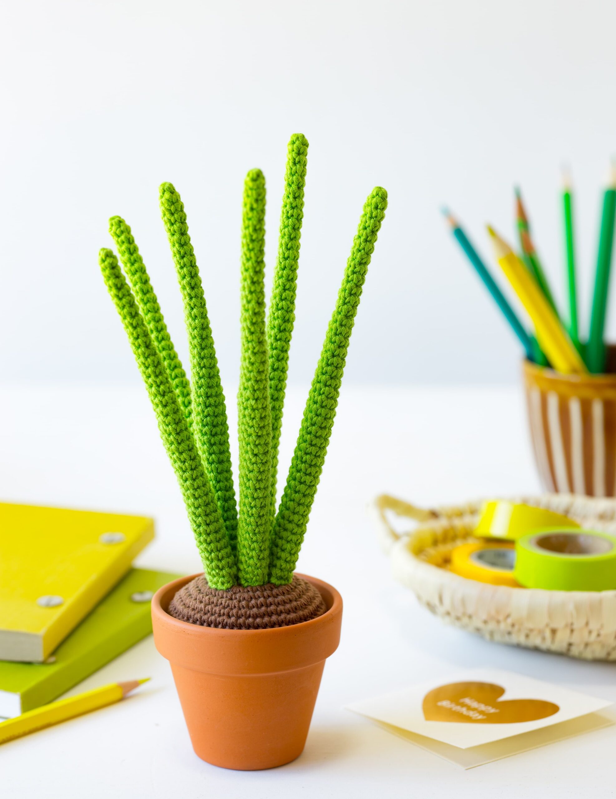 Plante grasse au crochet