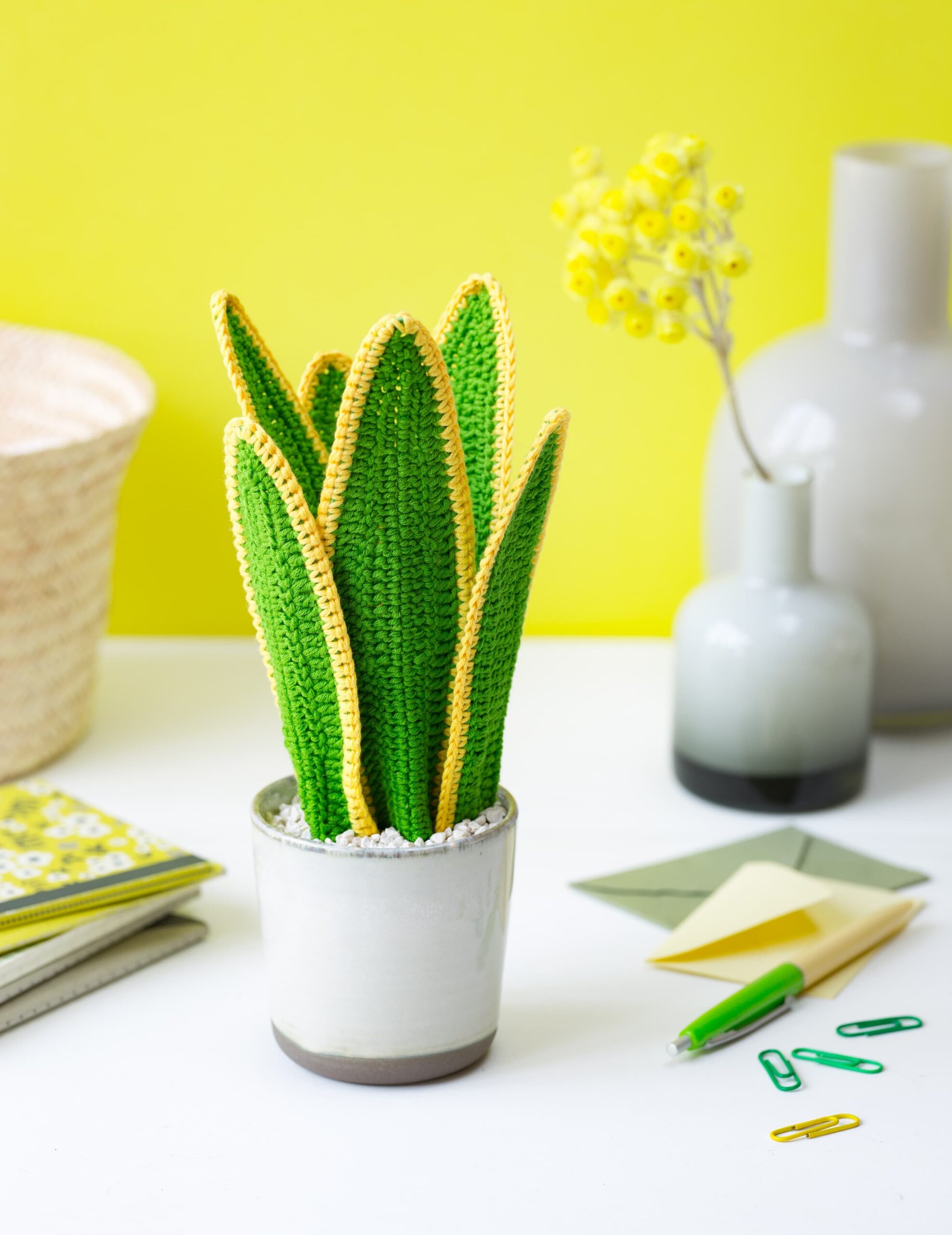 Sansevieria au crochet