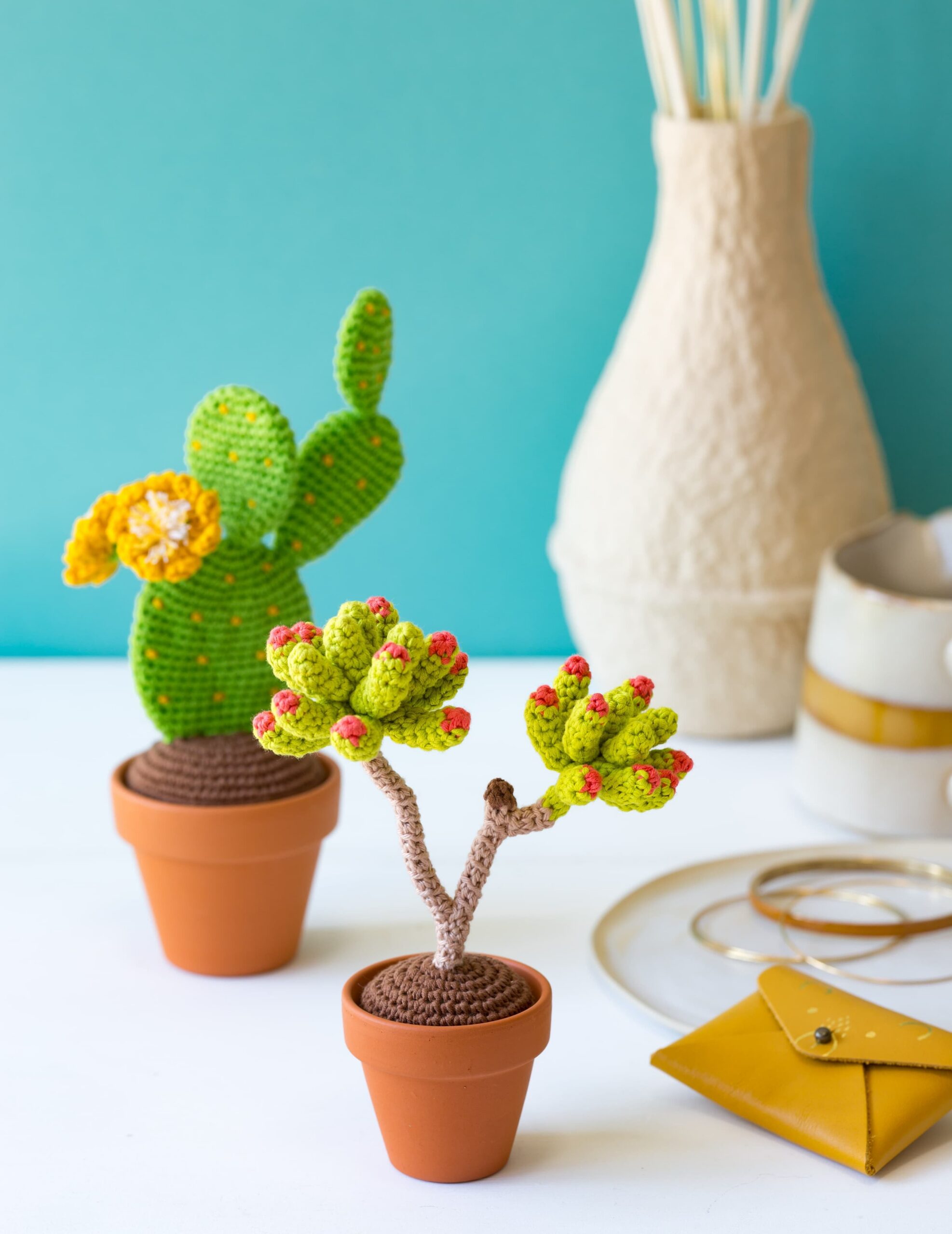 Succulente et cactus au crochet