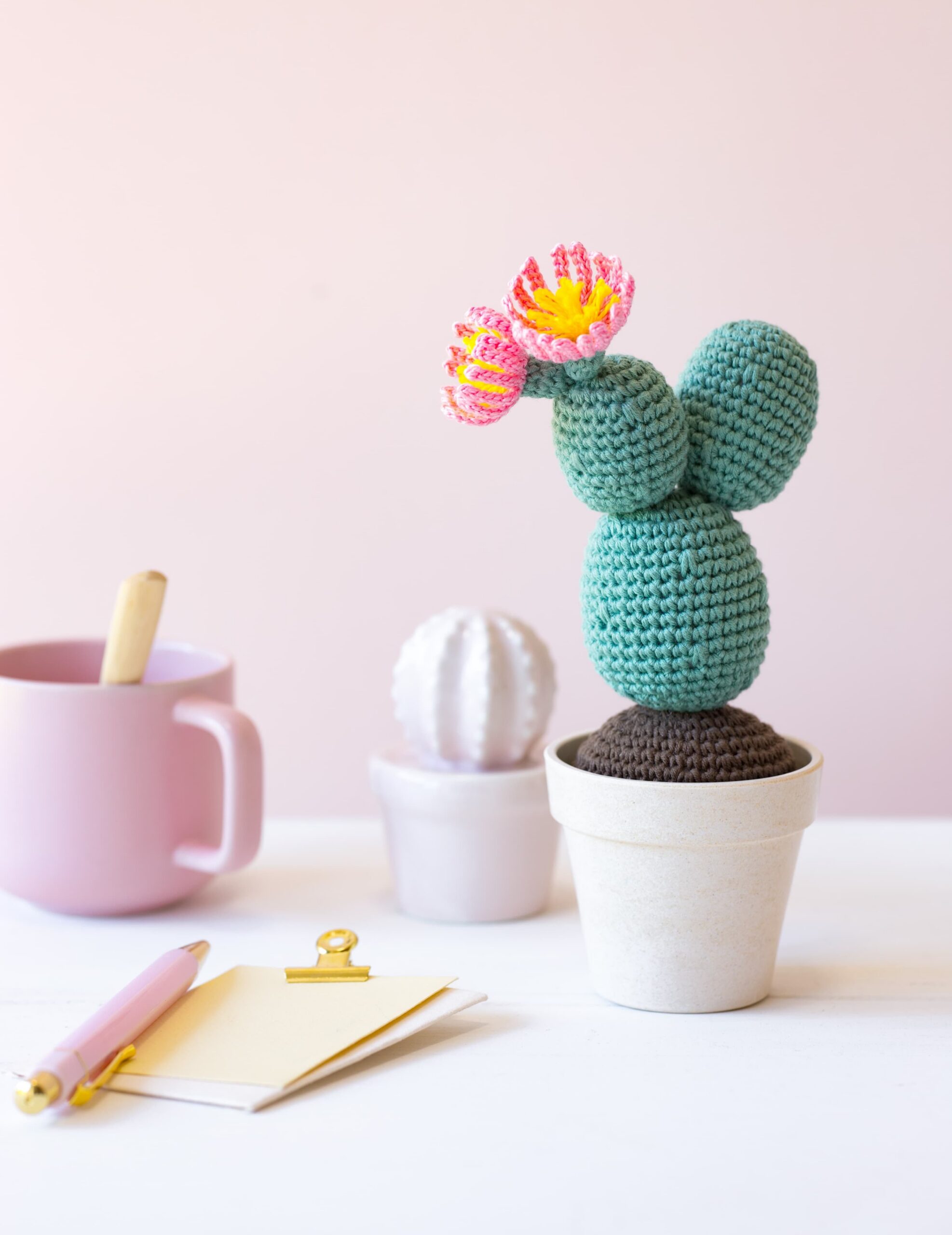 Cactus au crochet